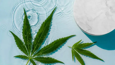 Quels sont les bienfaits du CBD ?
