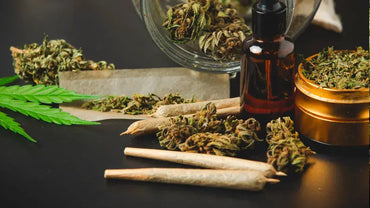 Comment consommer du CBD ?