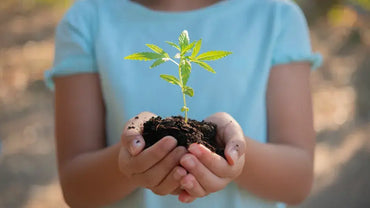 La santé par le chanvre cbd et les plantes