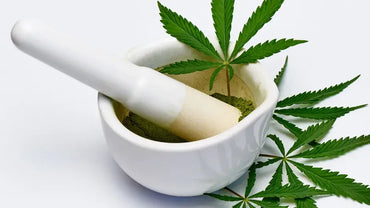 Quand prendre du CBD pour bénéficier de ses effets miraculeux ?