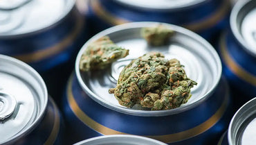 CBD et alcool : font-ils bon ménage ?