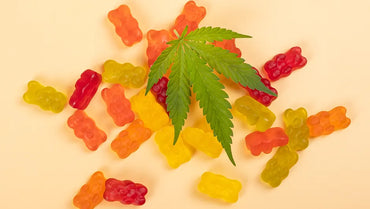 Pourquoi consommer des bonbons CBD ?