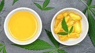 Capsules de CBD contre huile de CBD : laquelle choisir ?