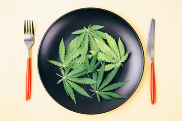 Le beurre de CBD : la base des recettes cannabiques !