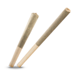 joint pré roulé CBD