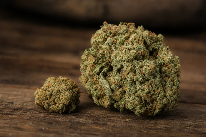 Petites têtes ou grosses têtes de cbd : y a-t-il vraiment une différence ?