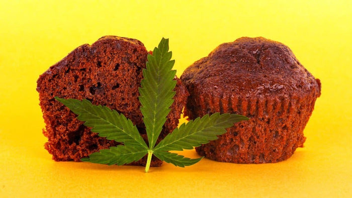 Comment réussir à faire son propre space cake grâce au CBD