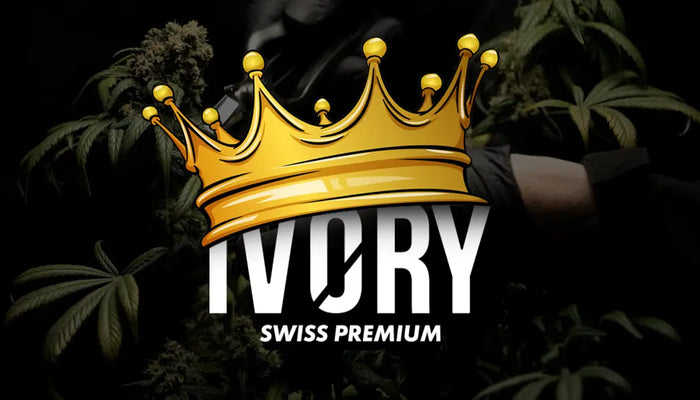 Ivory Swiss CBD : Le roi incontesté du marché du CBD