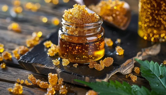 Les secrets de la production des concentrés de CBD