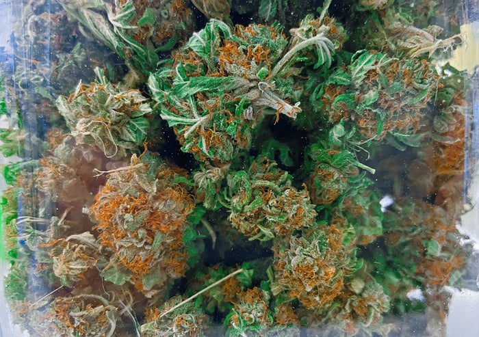 Tour d’horizon de l’Orange Bud