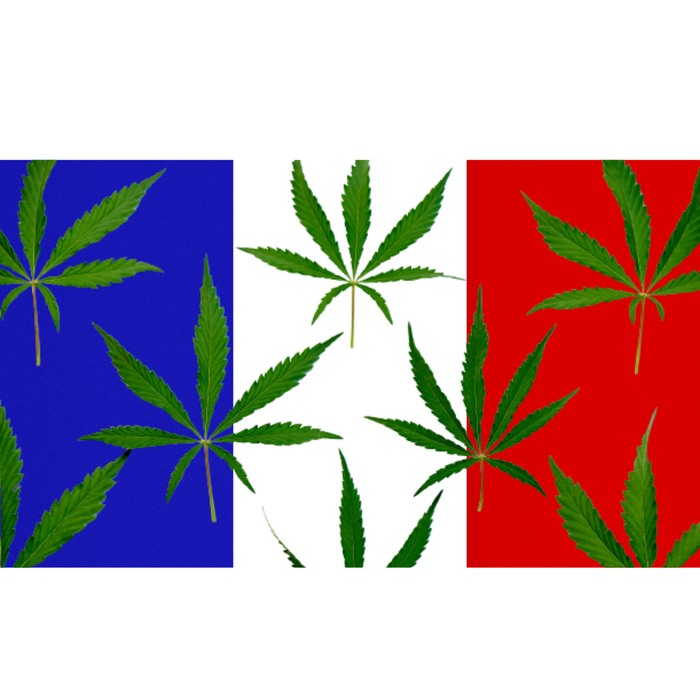 Les chiffres clés du CBD en France