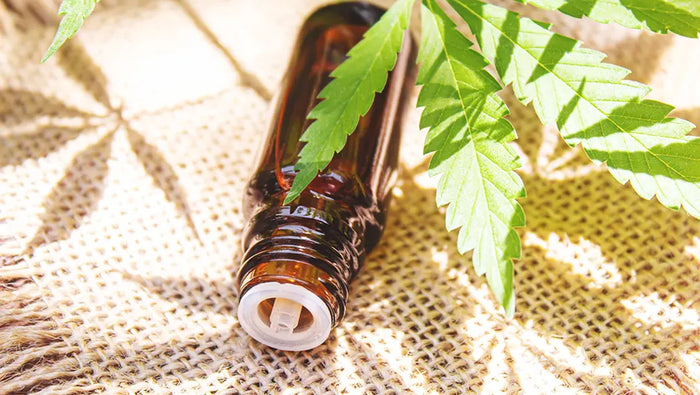 Les cannabinoïdes : De quoi s’agit-il ?