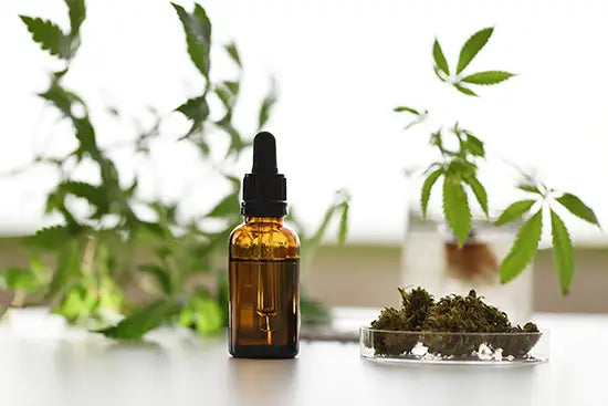 Quels sont les différents modes de consommation du CBD ?