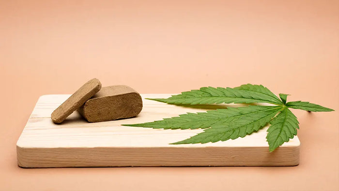 Comment consommer le pollen et le hash CBD ?