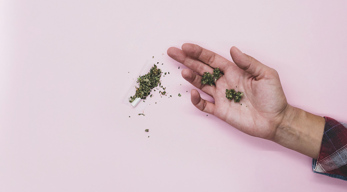 Joints pré-roulés : origine, fabrication et qualité