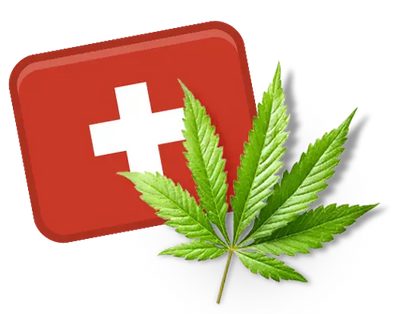 Olive 3XF - Résine CBD