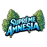 Suprême Amnesia - Fleur CBD
