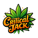 Critical Jack - Fleur CBD
