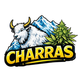 Charras - Résine CBD