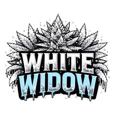White Widow - Fleur CBD