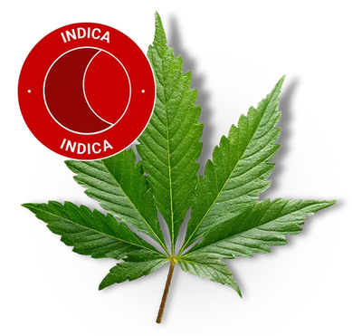 Ferrari OG - Fleur CBD