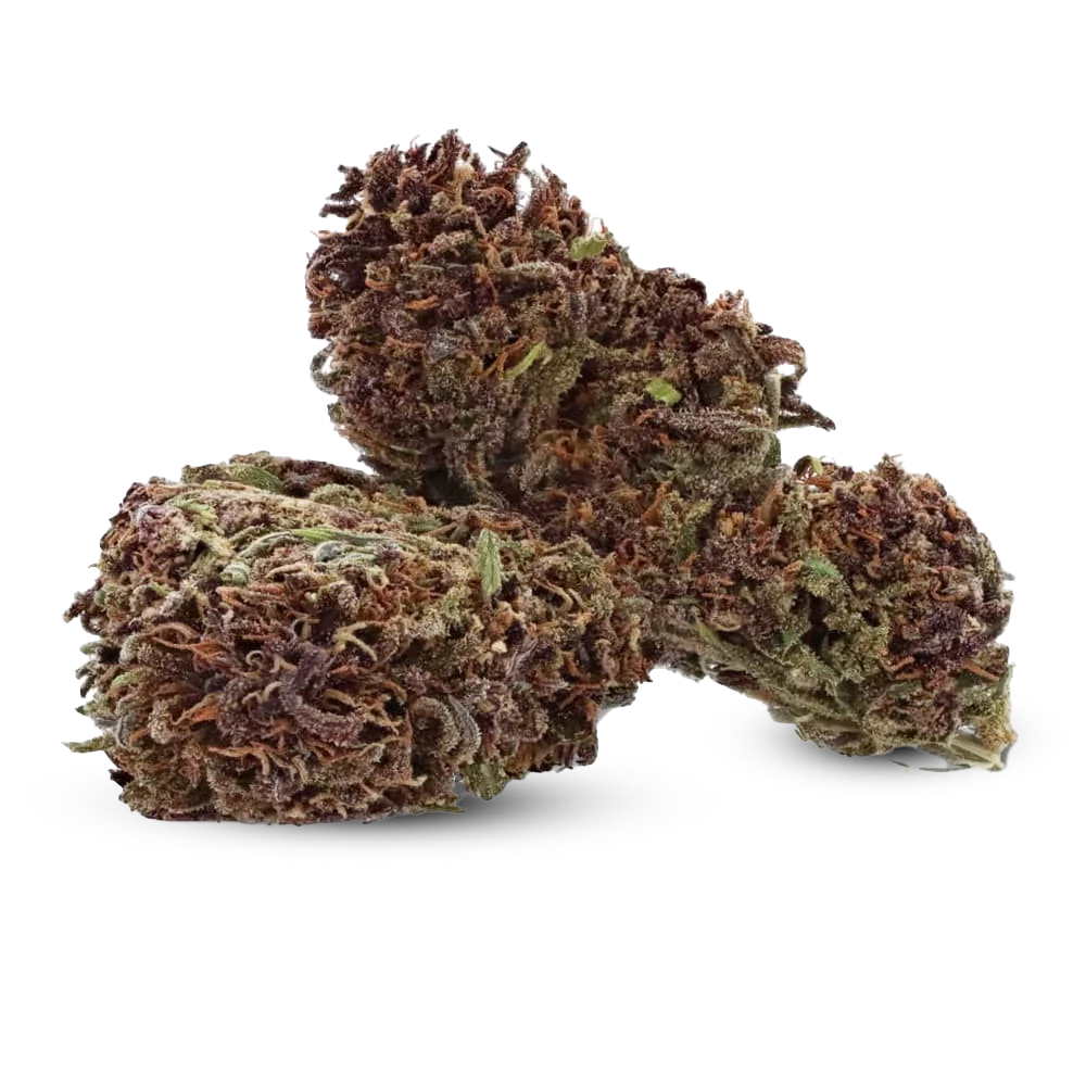 Fleur CBD Purple Kush