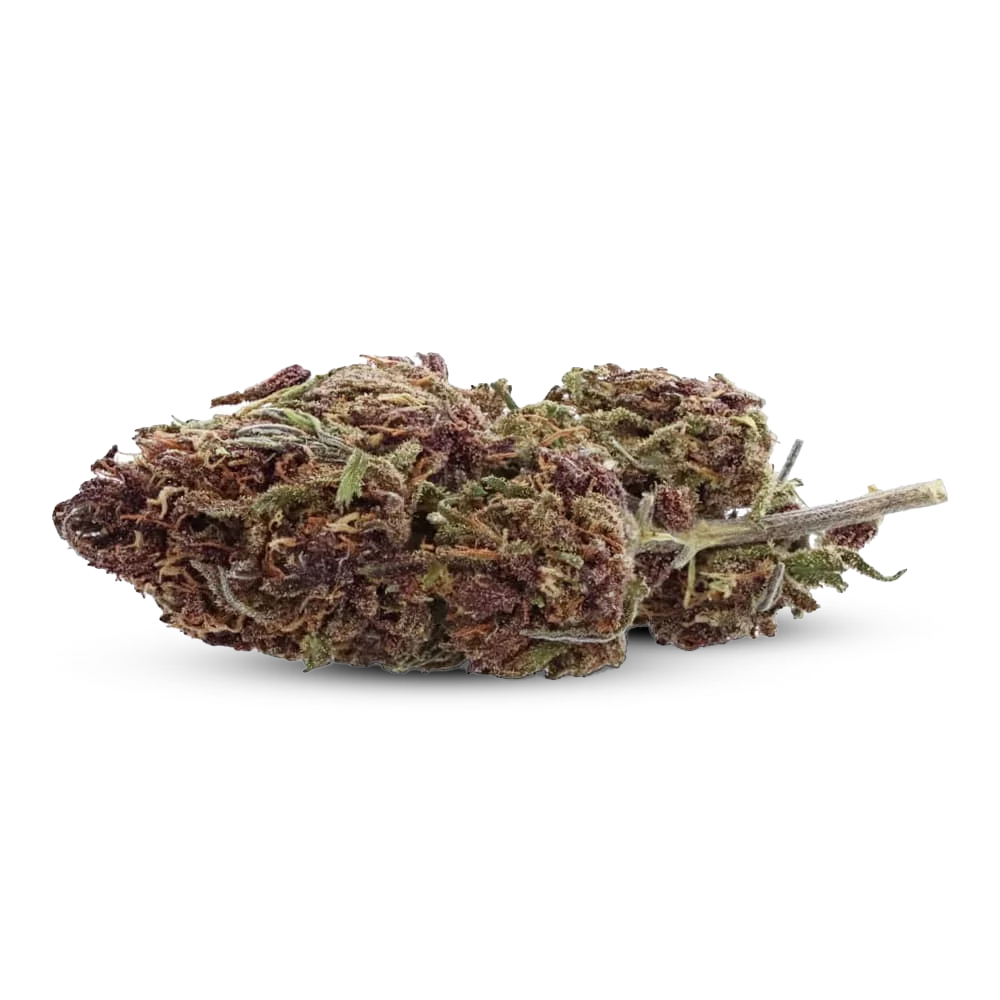 Fleur CBD Purple Kush