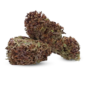Fleur CBD Purple Kush