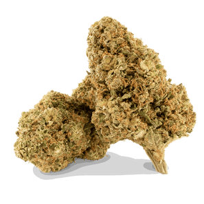 Mango Gelato - Fleur CBD