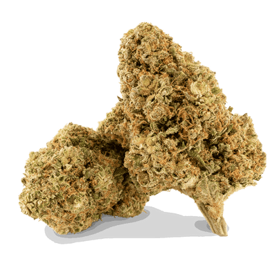 Mango Gelato - Fleur CBD