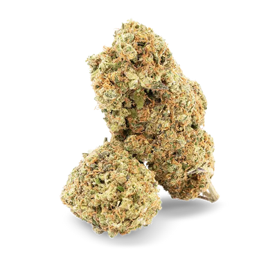 Pineapple Kush - Fleur CBD