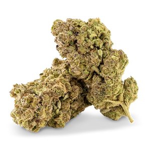 Fleur CBD Ivory Swiss Tropicana