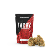 Fleur CBD Ivory Swiss AK-47