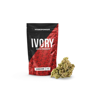 Fleur CBD Ivory Swiss Bubble Gum