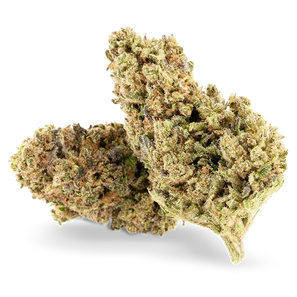 Fleur CBD Ivory Swiss Critical Jack