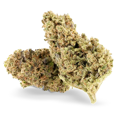 Critical Jack - Fleur CBD