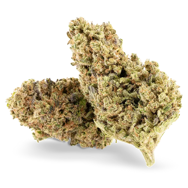 Fleur CBD Ivory Swiss Critical Jack