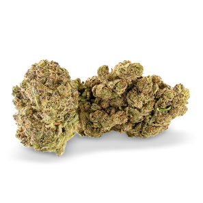 Fleur CBD Ivory Swiss White Widow