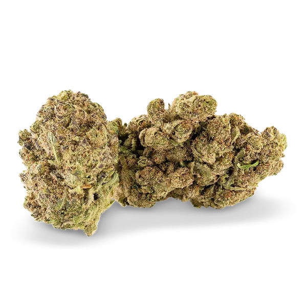 Fleur CBD Ivory Swiss White Widow