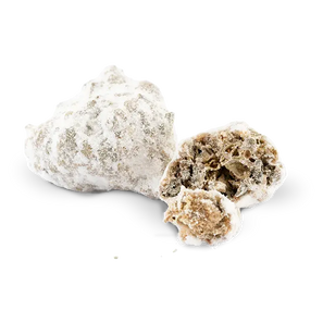 Fleur CBD Ivory Swiss Ice Rock